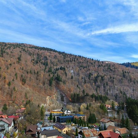 Apartament Panoramic View Sinaia Apartment ภายนอก รูปภาพ