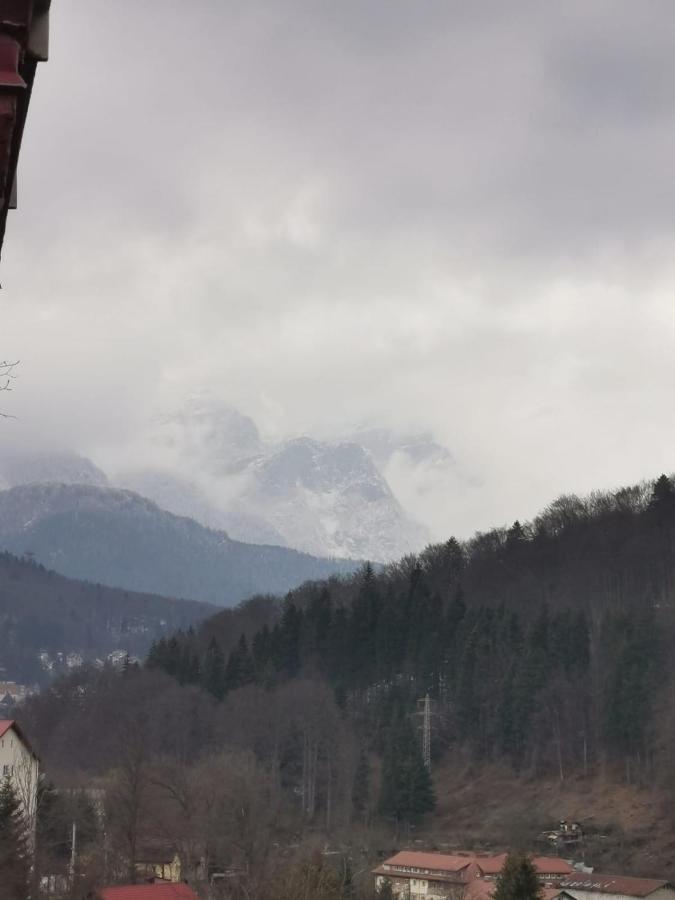 Apartament Panoramic View Sinaia Apartment ภายนอก รูปภาพ