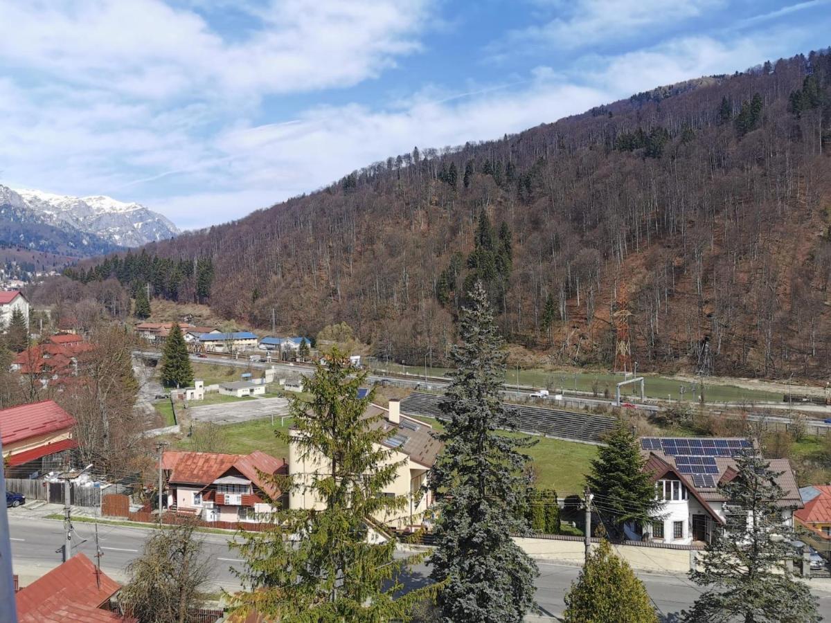 Apartament Panoramic View Sinaia Apartment ภายนอก รูปภาพ