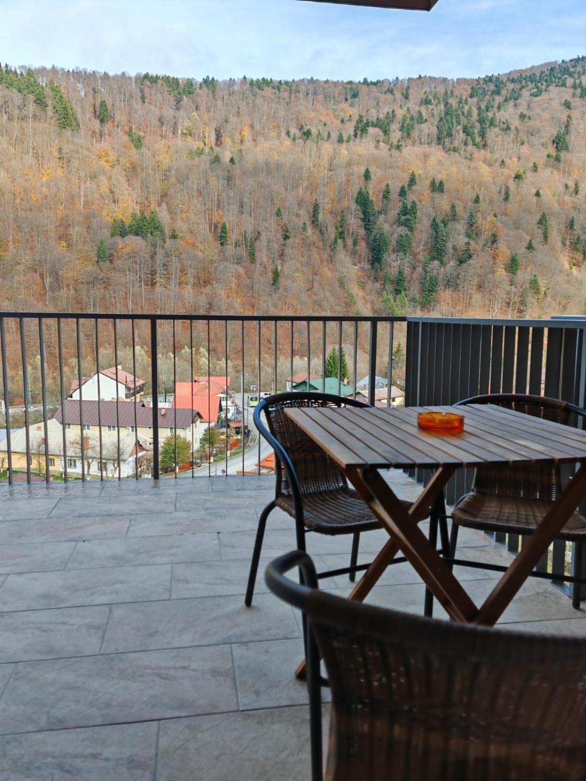 Apartament Panoramic View Sinaia Apartment ภายนอก รูปภาพ