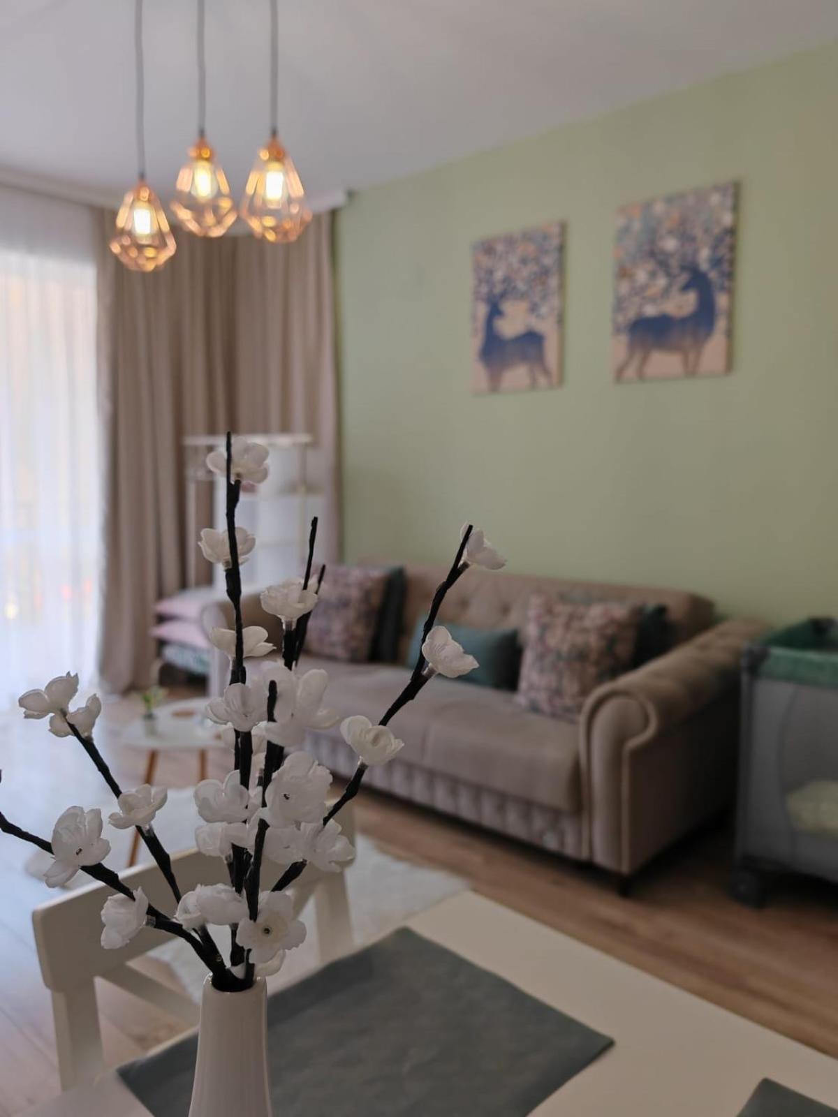 Apartament Panoramic View Sinaia Apartment ภายนอก รูปภาพ